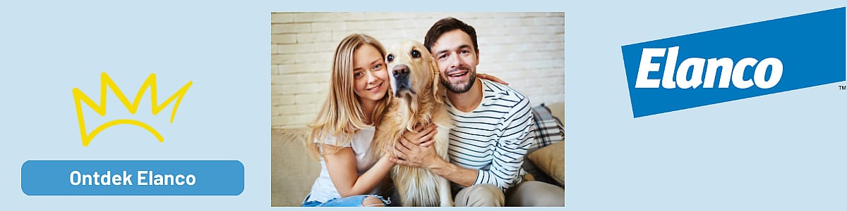 Mensen, Persoon, Volwassene, Mannelijk, Man